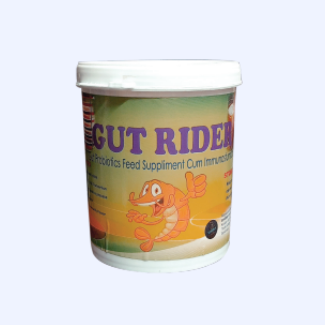 Gut Rider